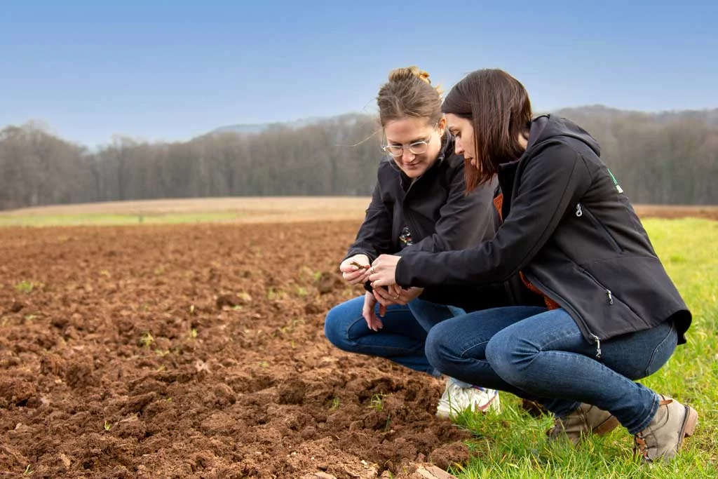 Entreprise de conseils dans le secteur agricole en Moselle