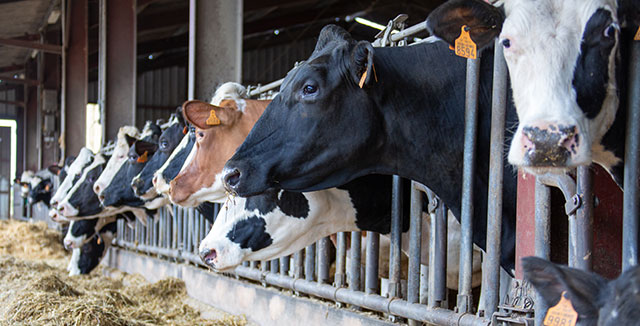 Entreprise de conseils dans le secteur agricole en Moselle