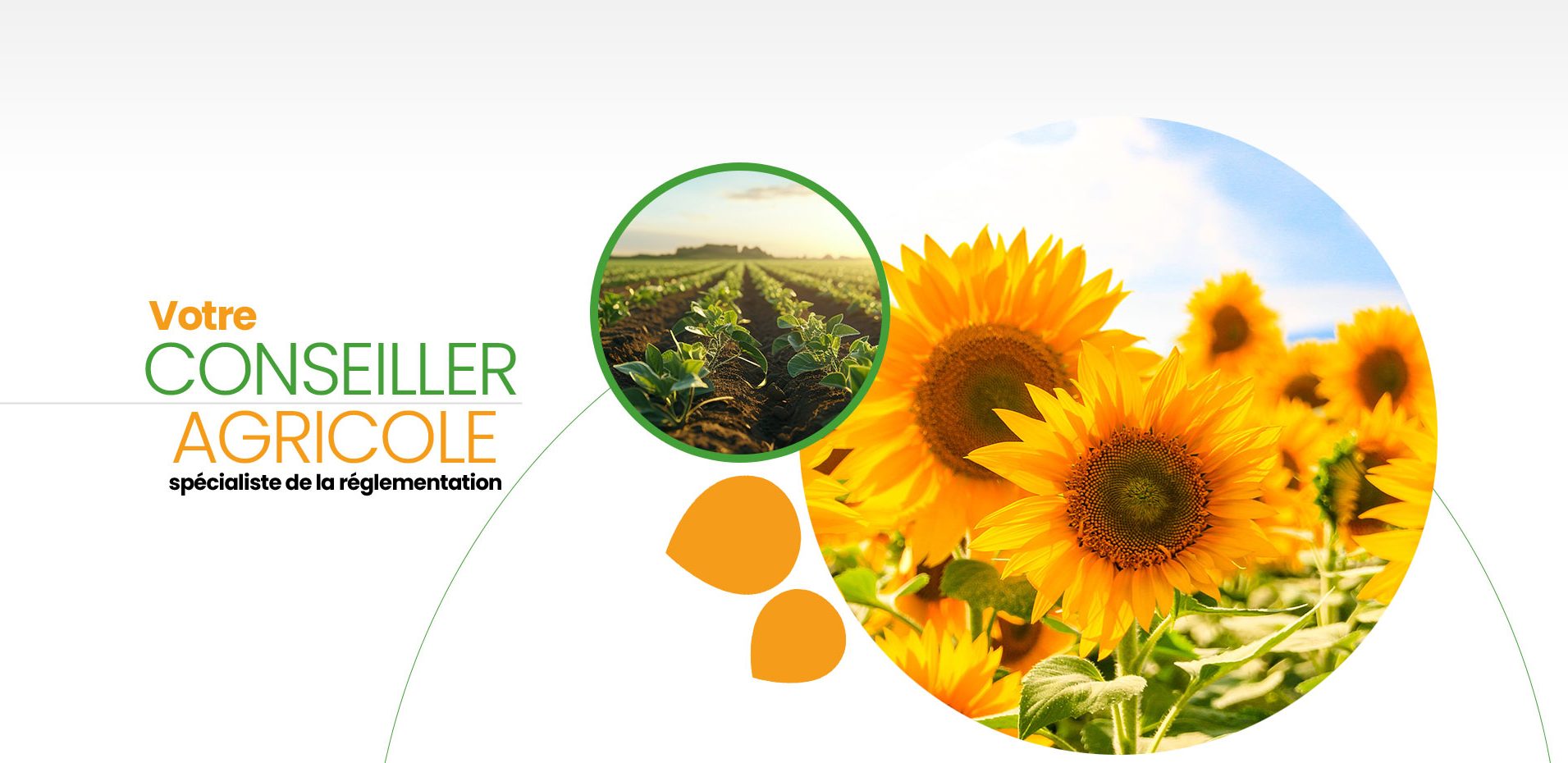 Entreprise de conseils dans le secteur agricole en Moselle Entreprise de conseils dans le secteur agricole en Moselle