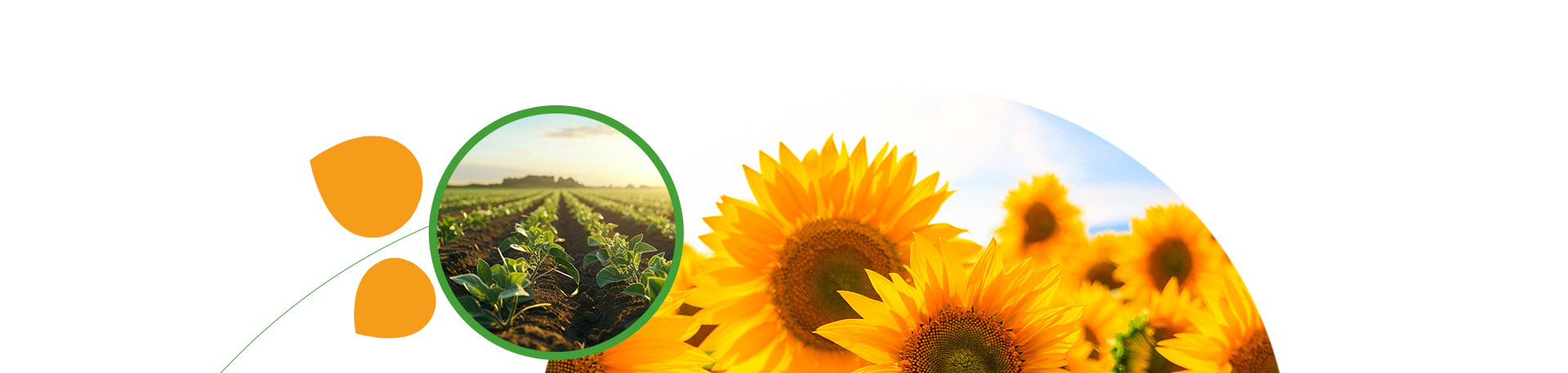 Accompagnement des exploitants agricoles dans le Grand Est